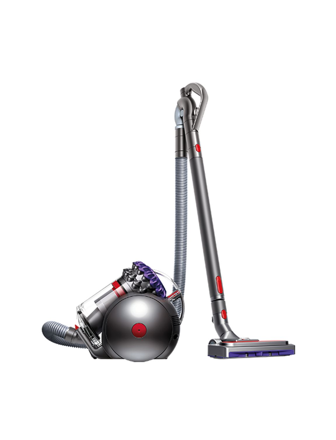 Aspirateur traîneau Dyson Big Ball Parquet 2