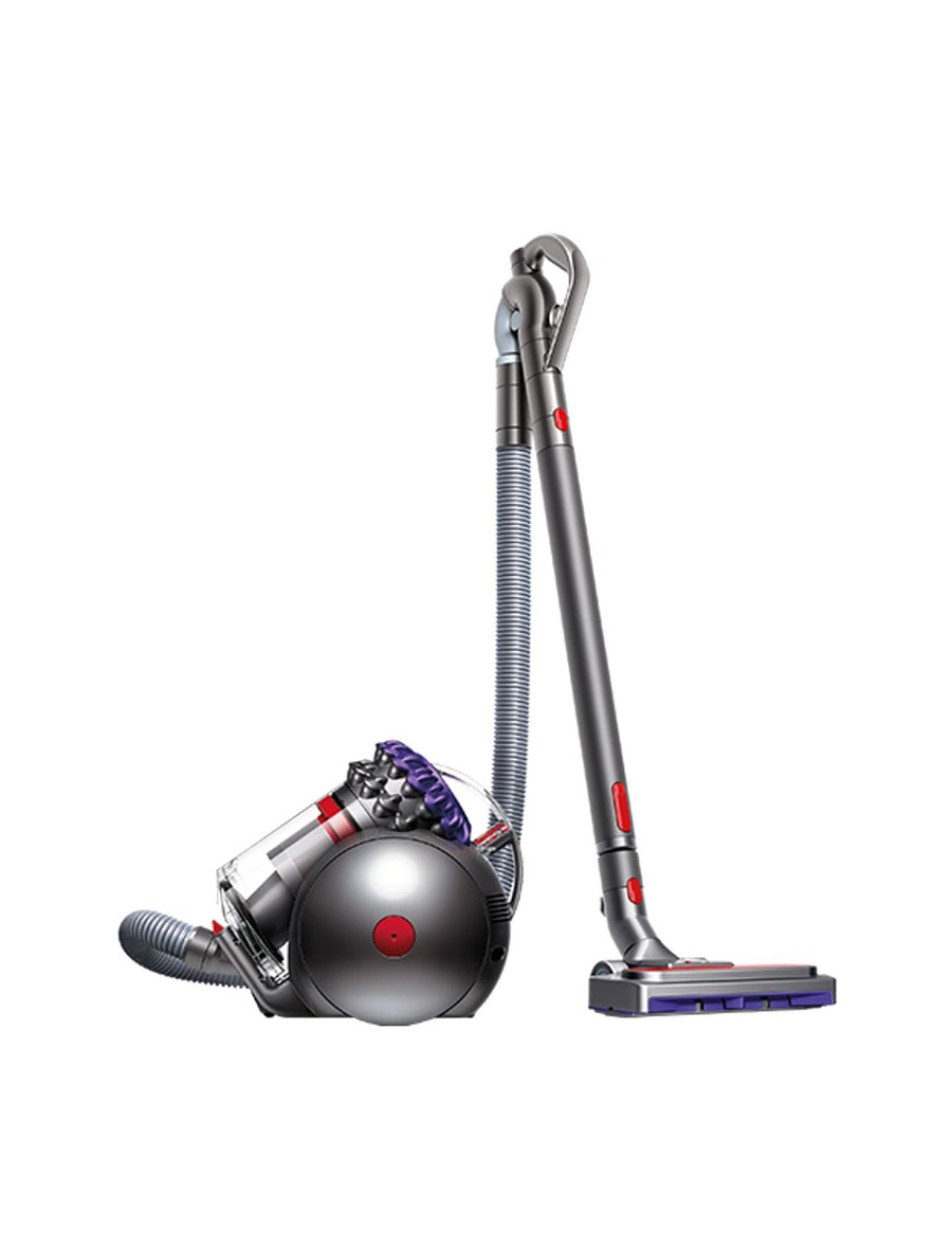 Aspirateur traîneau Dyson Big Ball Parquet 2